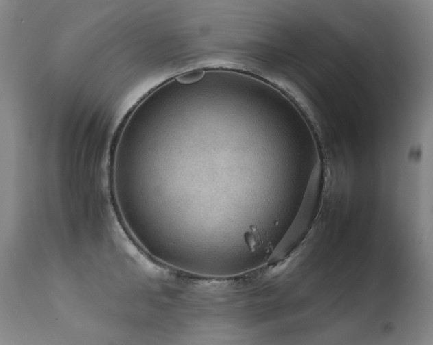 X0000111470902200907131516