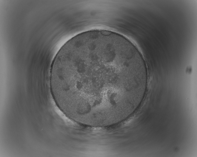 X0000111470903200907131516