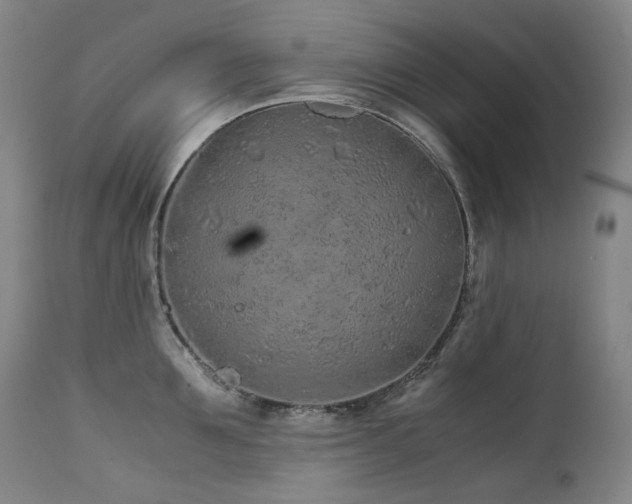 X0000111470907200907131516