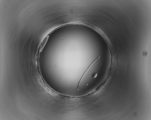 X0000111470908200907131516