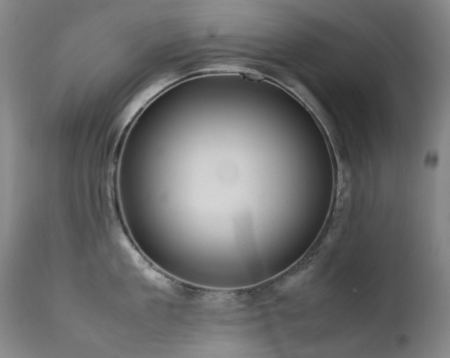X0000111470909200907131516