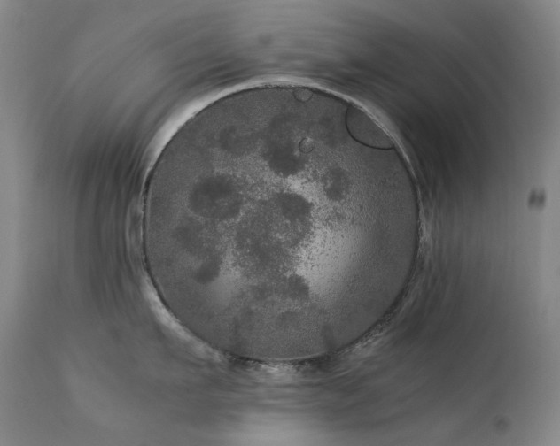 X0000111470911200907131516