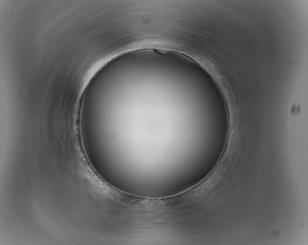 X0000111470912200907131515
