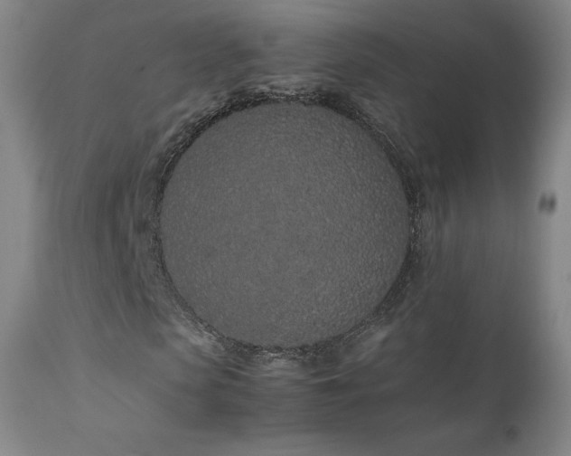 X0000111470913200907131515
