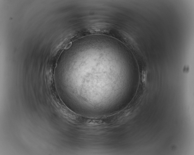 X0000111470915200907131515