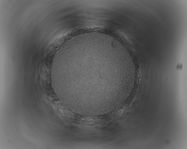 X0000111470917200907131515