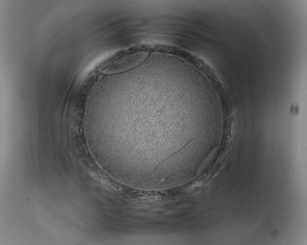 X0000111470919200907131515