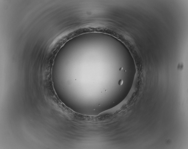 X0000111470920200907131515