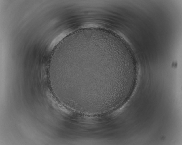 X0000111470921200907131515