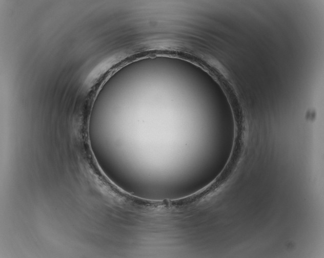 X0000111470922200907131515