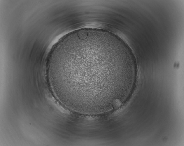 X0000111470923200907131515