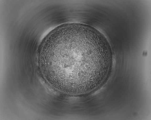 X0000111470925200907131515