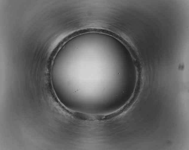 X0000111470926200907131515