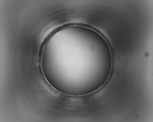 X0000111470927200907131515