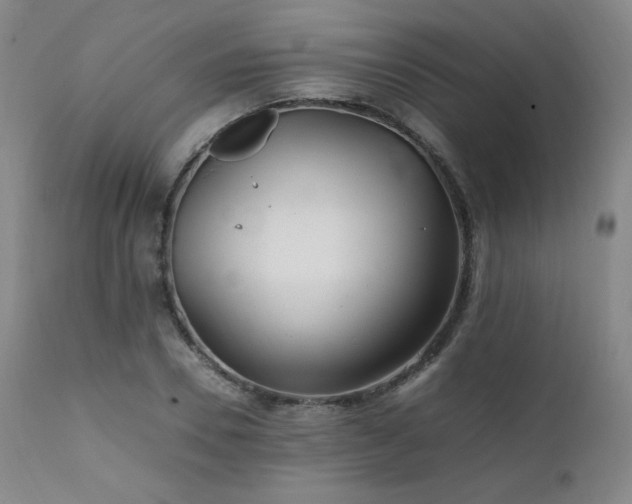 X0000111470930200907131515