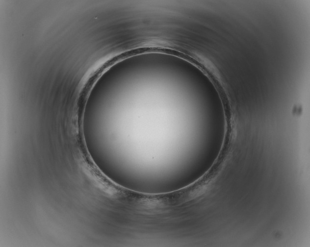 X0000111470931200907131515