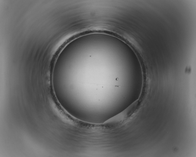 X0000111470934200907131515