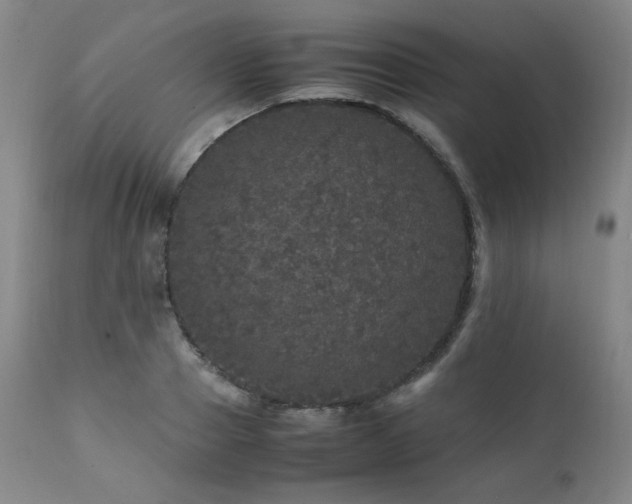 X0000111470937200907131515