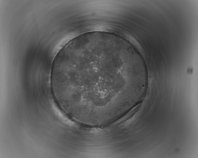 X0000111470938200907131515