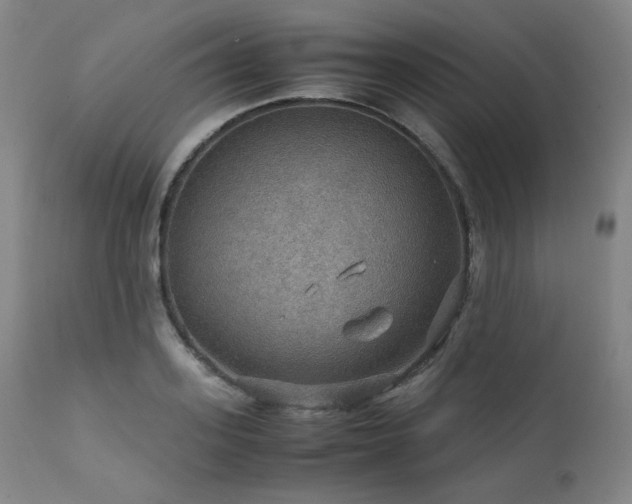 X0000111470939200907131515