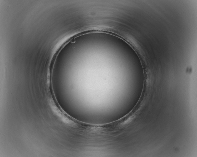 X0000111470940200907131515