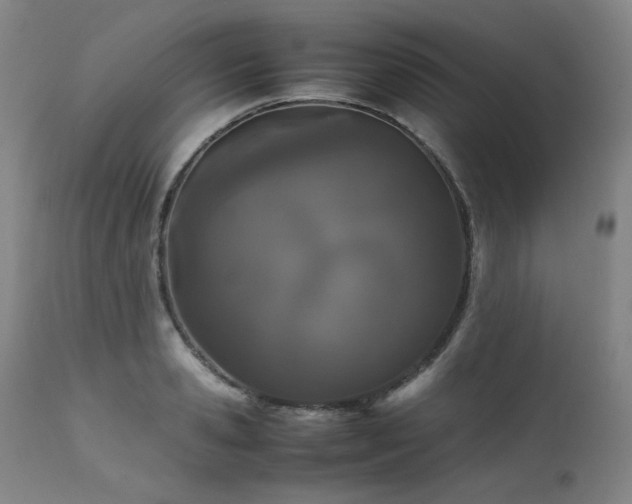X0000111470941200907131515