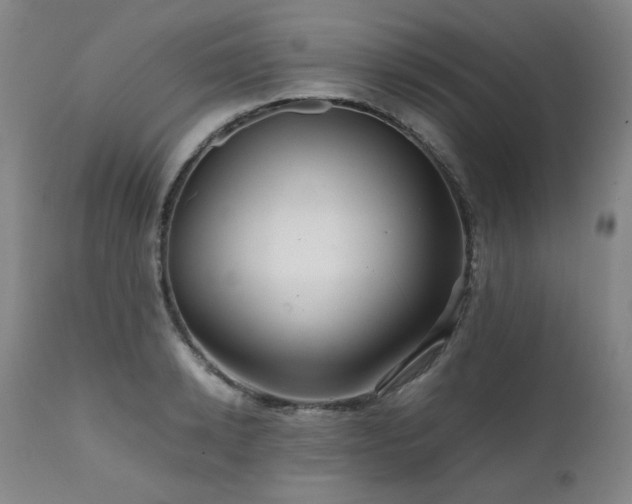 X0000111470942200907131515