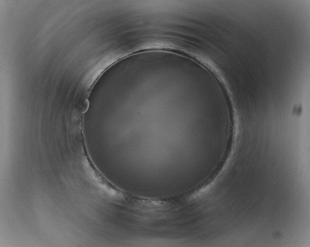 X0000111470945200907131515