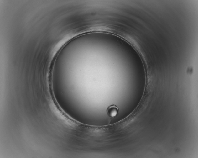 X0000111470947200907131515