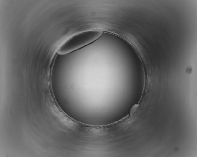 X0000111470948200907131515