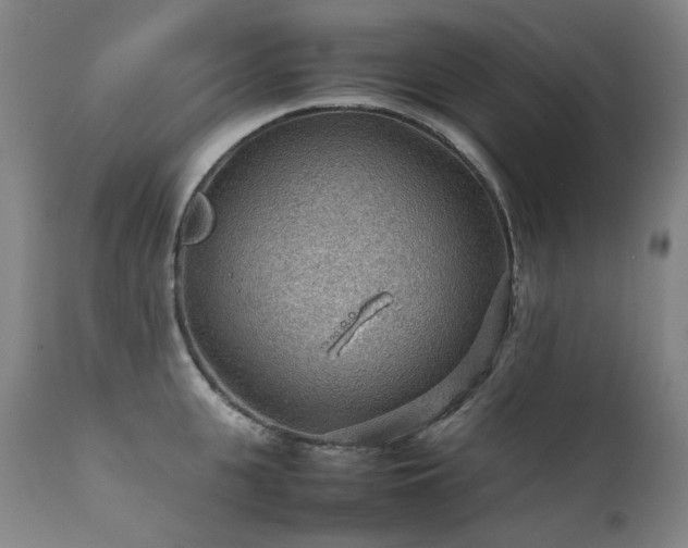 X0000111470951200907131515