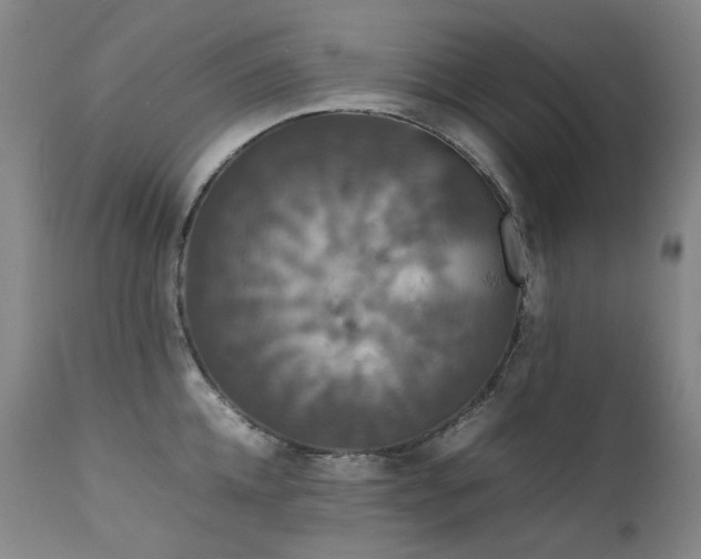 X0000111470952200907131515