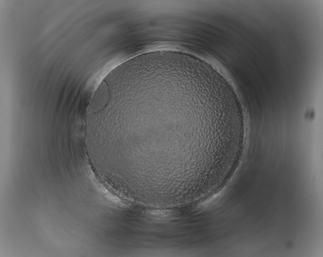 X0000111470953200907131515