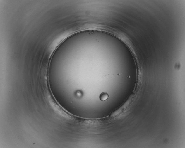 X0000111470954200907131515