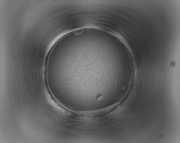 X0000111470955200907131515