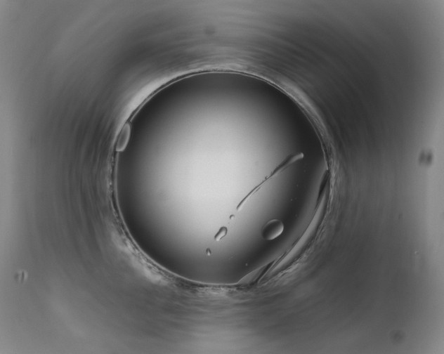 X0000111470956200907131515