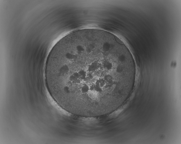 X0000111470957200907131515