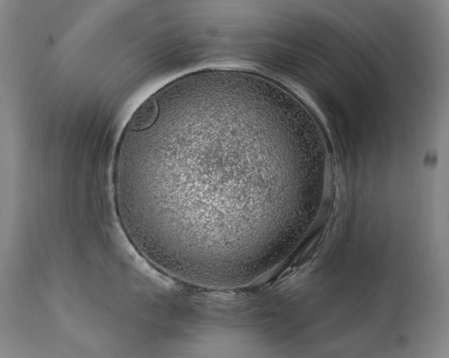 X0000111470959200907131515