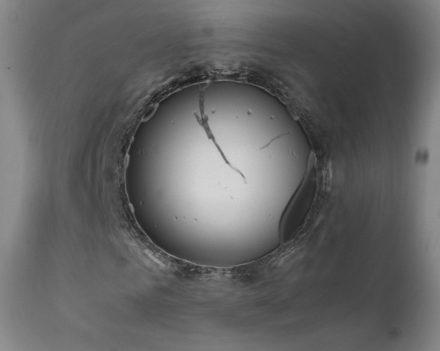 X0000111470961200907131515