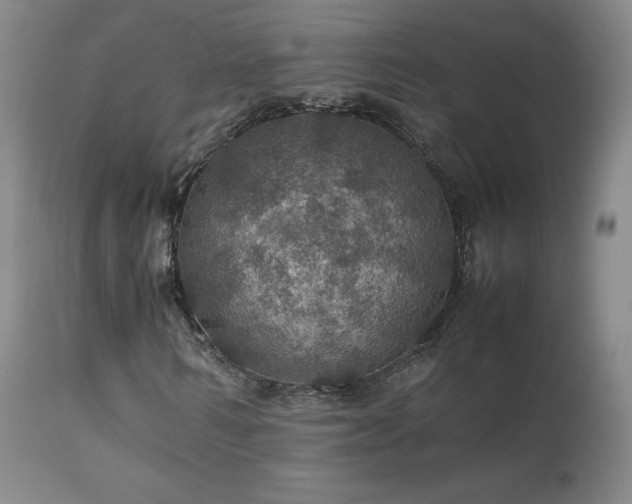 X0000111470962200907131515