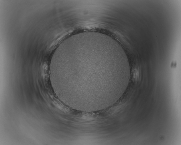 X0000111470964200907131515