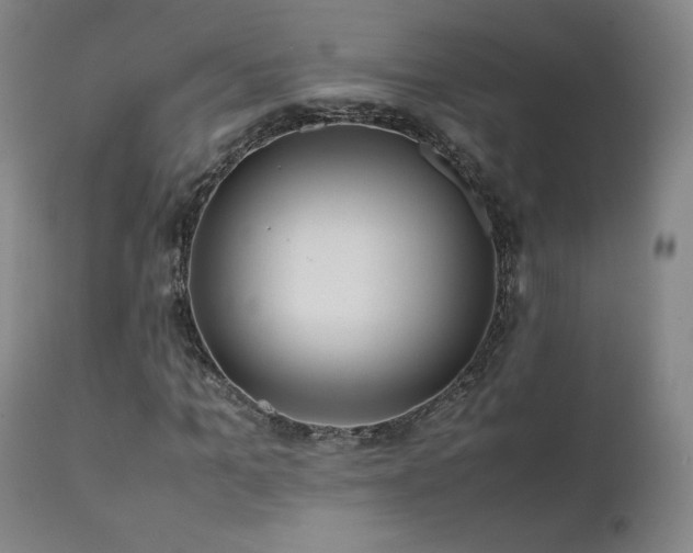 X0000111470965200907131515