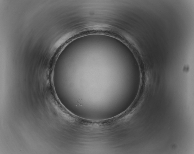 X0000111470970200907131515