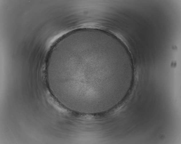 X0000111470971200907131515