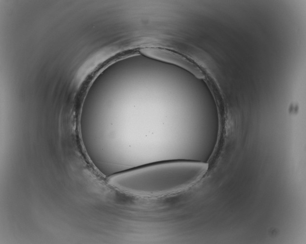 X0000111470973200907131515