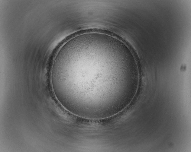X0000111470975200907131515