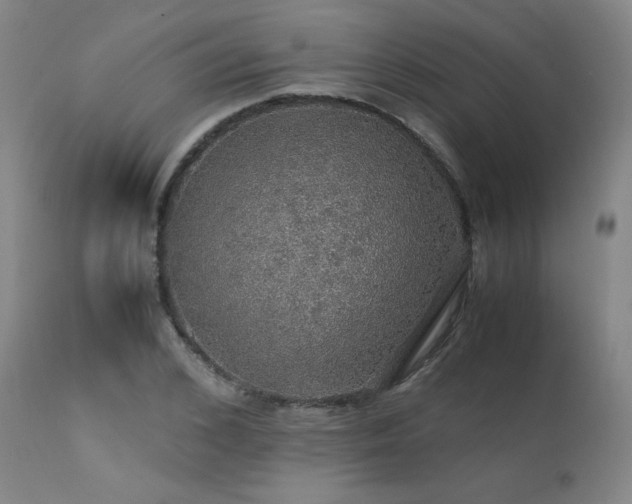 X0000111470976200907131515