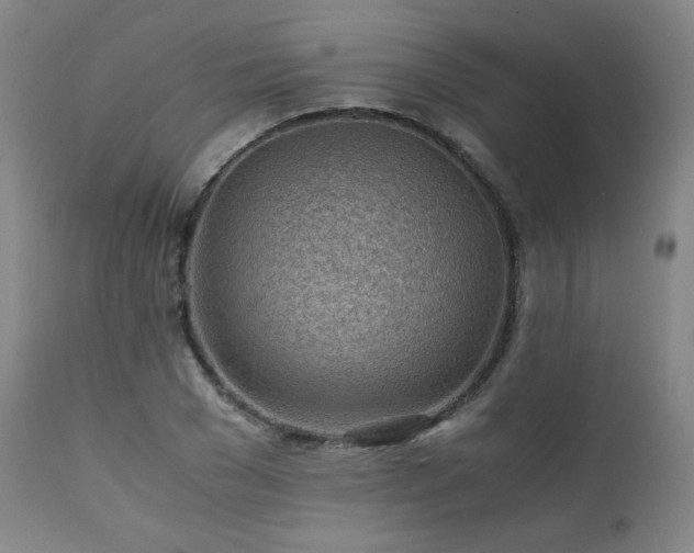 X0000111470977200907131515