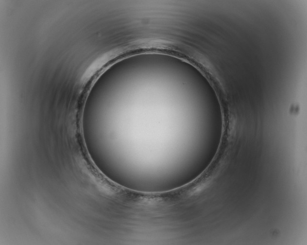 X0000111470978200907131515