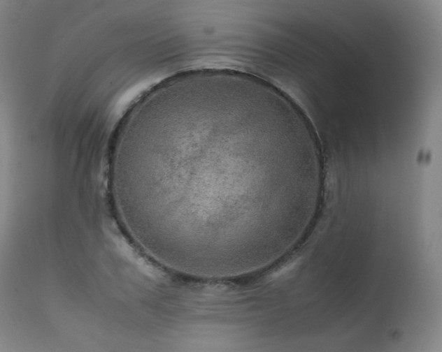 X0000111470979200907131515